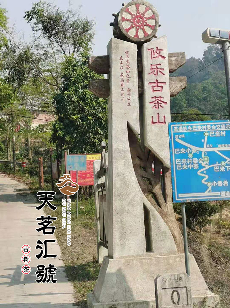 攸乐古茶山.jpg